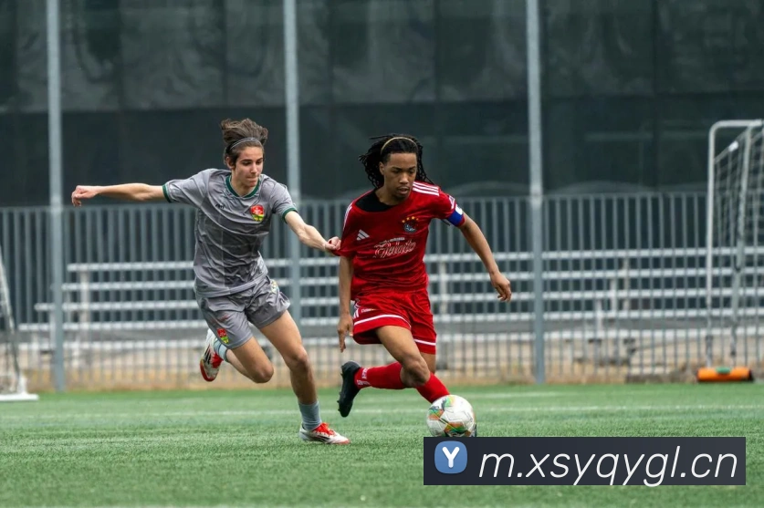 千亿体育平台生态图