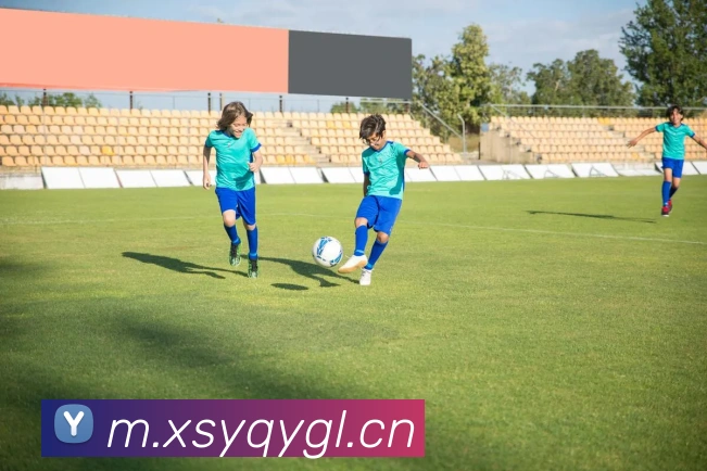 千亿体育APP 封面图